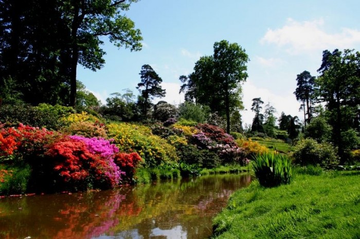  -  Leonardslee Gardens (5)