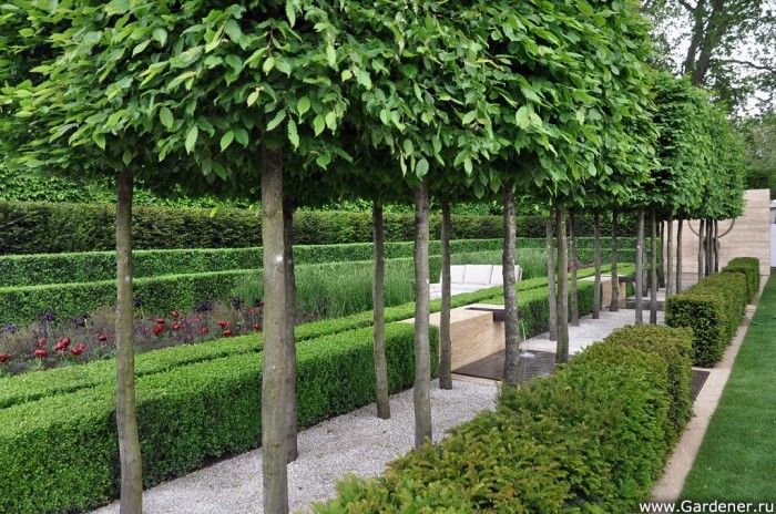 The Laurent-Perrier Garden