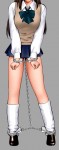 2D Karin Sakura