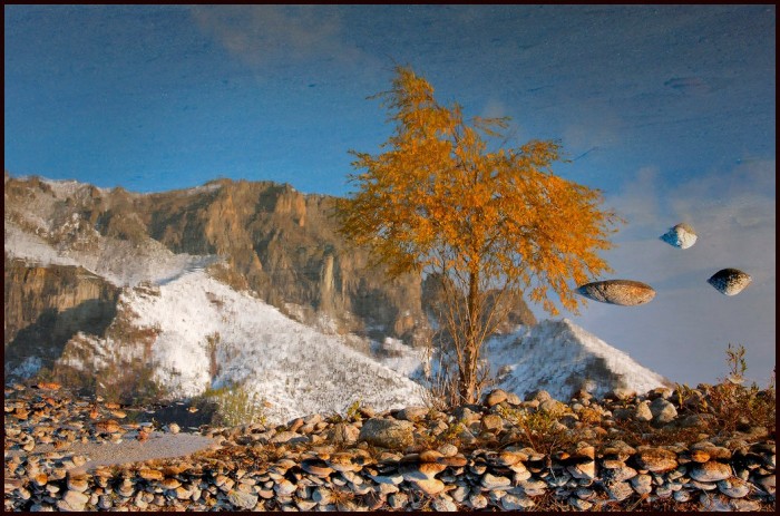 Александр Леснянский фотограф