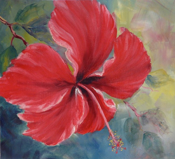 Jamacia Hibiscus