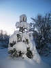 Посмотреть все фотографии серии зима 2011 январь