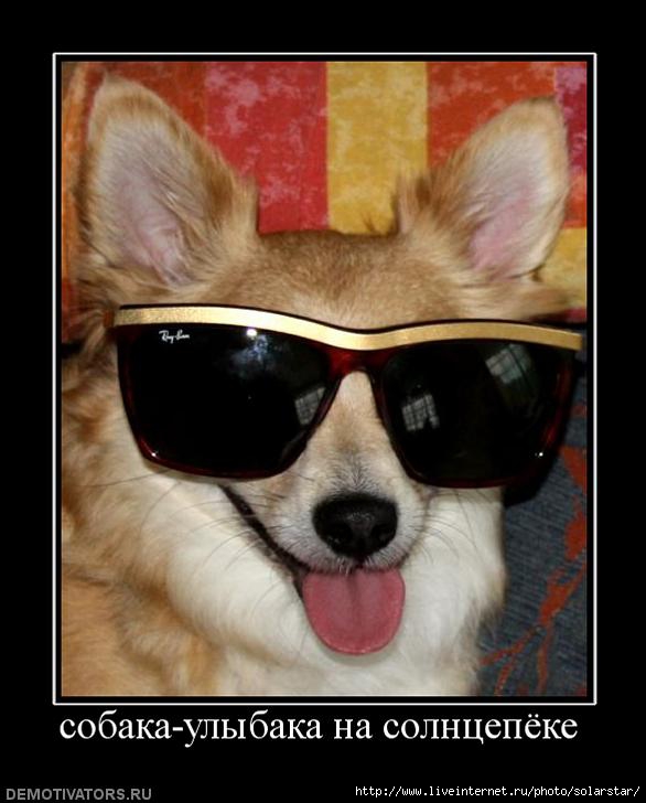 На солнцепеке : LiveInternet - Российский Сервис Онлайн-Дневников