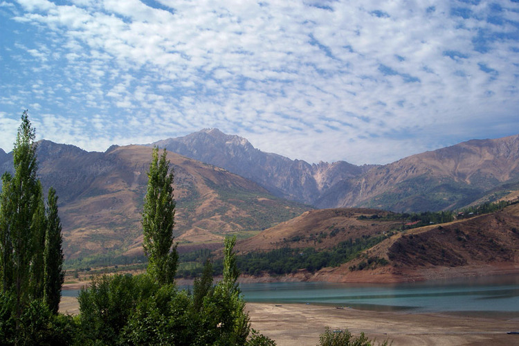 Бричмулла фото узбекистан