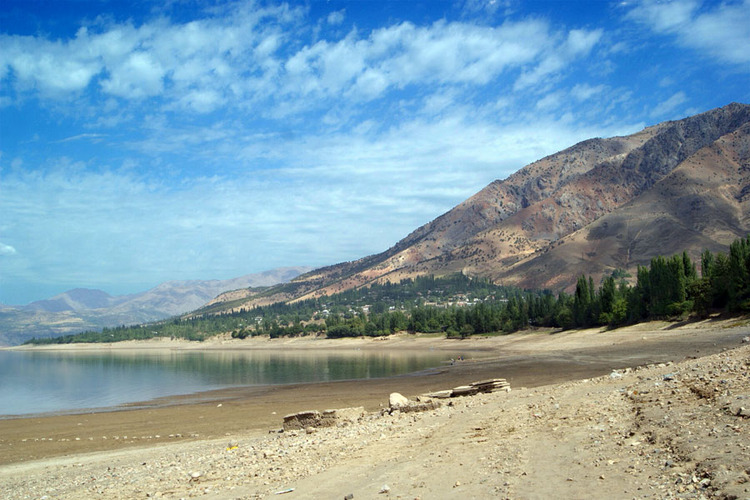 Бричмулла фото узбекистан