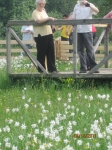  ...2011