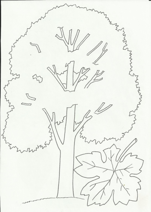 Раскраски по теме Деревья для детей