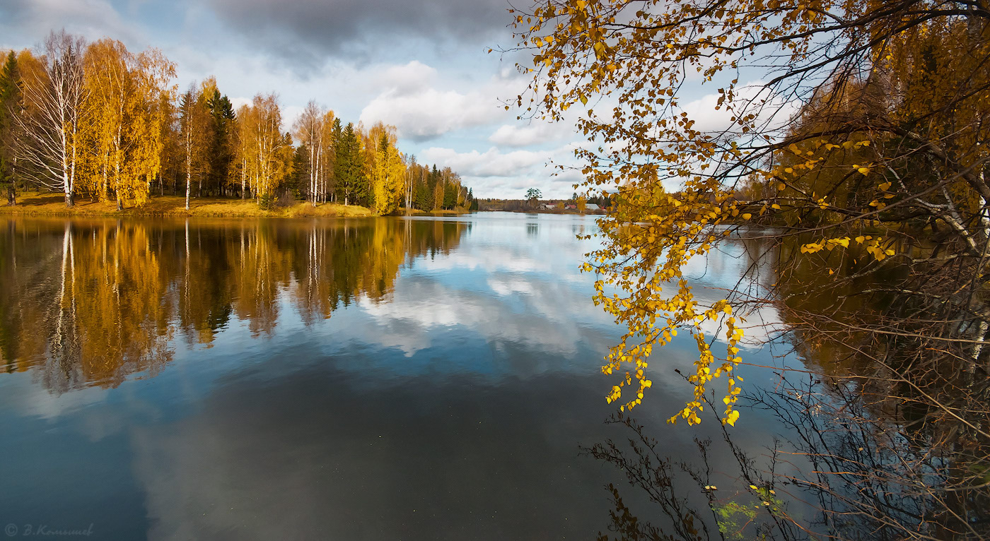 Осень природа Владимирского края