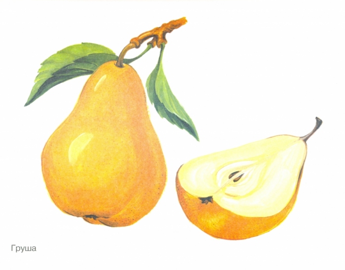 Картинки на одном листе фрукты
