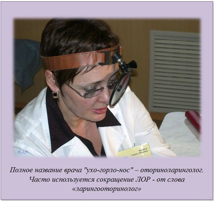 http://img1.liveinternet.ru/images/foto/c/1/apps/4/995/4995677_4.jpg