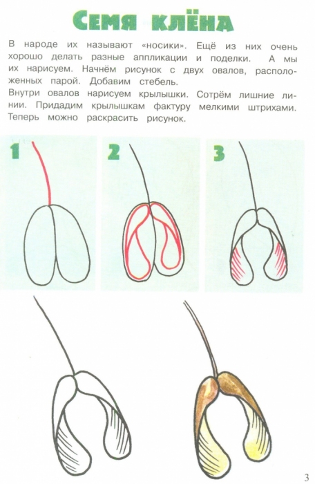 Как нарисовать чешую