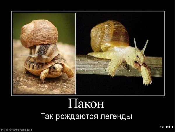 Картинка легенды рождаются в мае