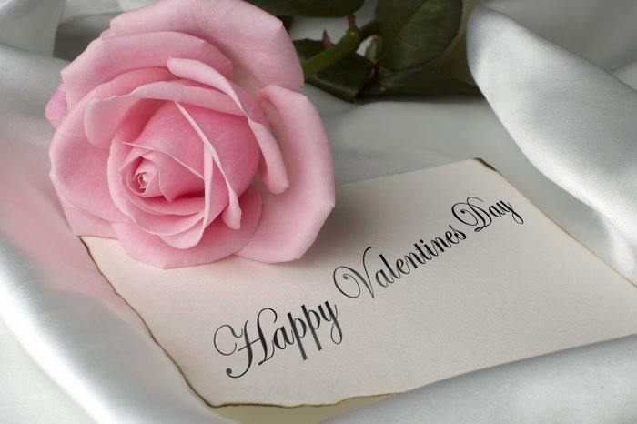 happy valentines day card with pink rose
