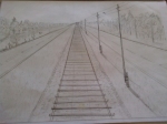 2007 .  