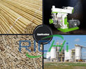 [+]  - 1-10 ton capacity wood bamboo straw pellet mill